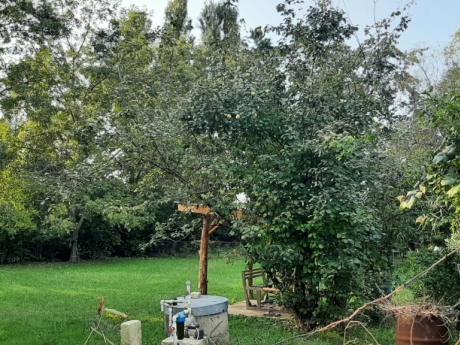 lenkeranda kiraye villalar