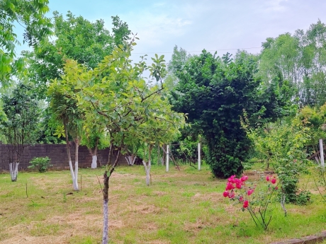 lenkeranda bag evleri