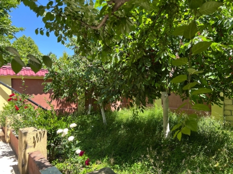 tengealti kiraye evler