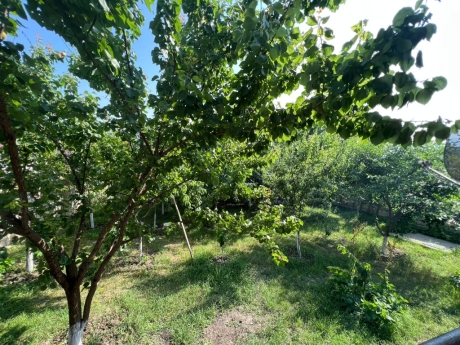 qubada gunluk kiraye evler ucuz