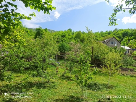 Qubada kiraye evler ayliq