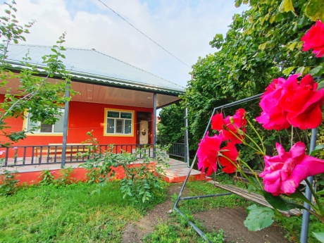 buynuzda gunluk kiraye evler