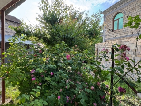 toganada gunluk kiraye evler