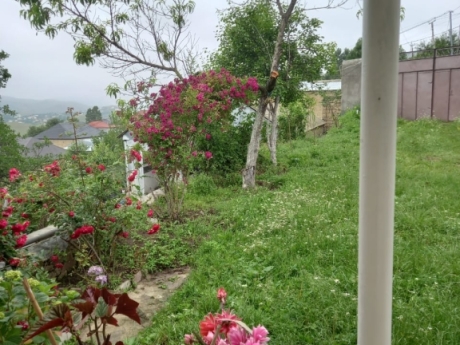 gedebey kiraye kend evleri