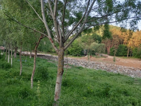 gedebey kiraye kend evleri