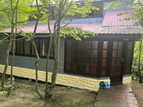 masalli kiraye evler