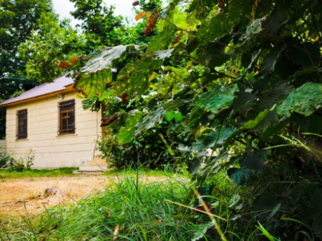 oguzda gunluk kiraye evler