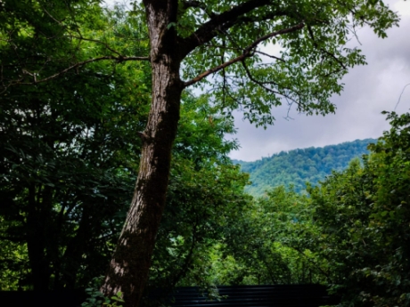 oguzda gunluk kiraye evler