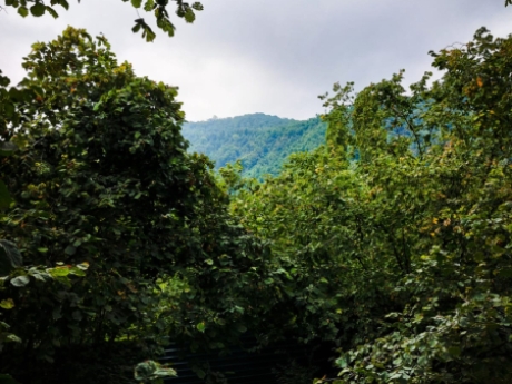 oguzda gunluk kiraye evler