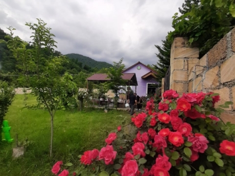 oguzda gunluk kiraye evler