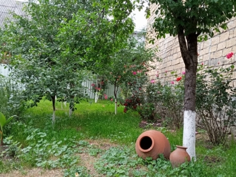 oguzda gunluk kiraye evler