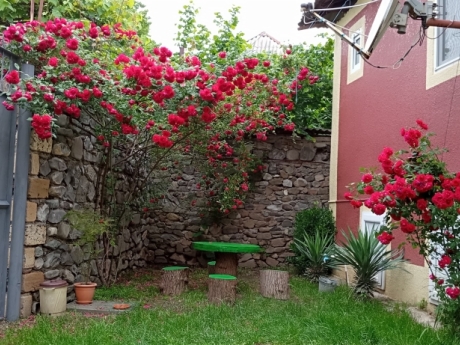 oguzda gunluk kiraye evler