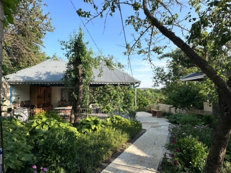 samaxi kiraye evler gunluk