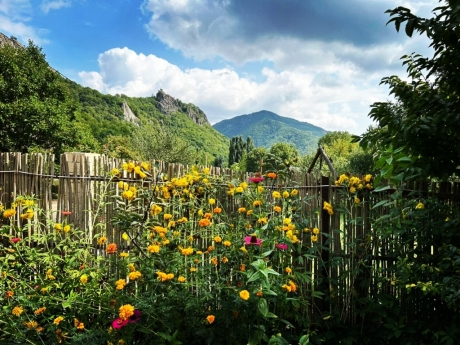 samaxi kiraye evler gunluk