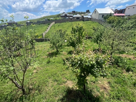 samaxi kiraye evler gunluk