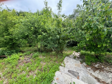 şamaxı günlük kirayə evlər