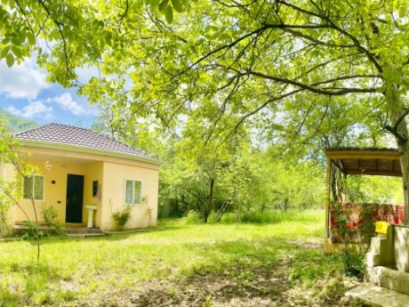 şamaxı günlük kirayə evlər