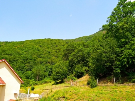 Qaxda kiraye evler hovuzlu