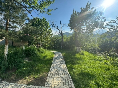 Qubada kiraye evler ayliq