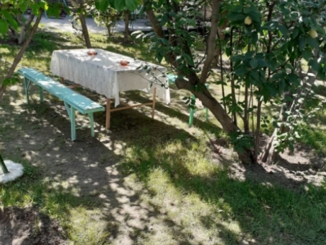 şəkidə günlük kirayə evlər