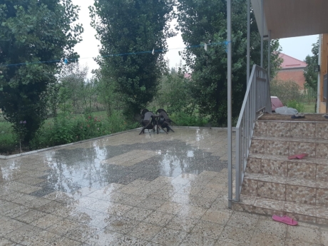 quba kiraye evler